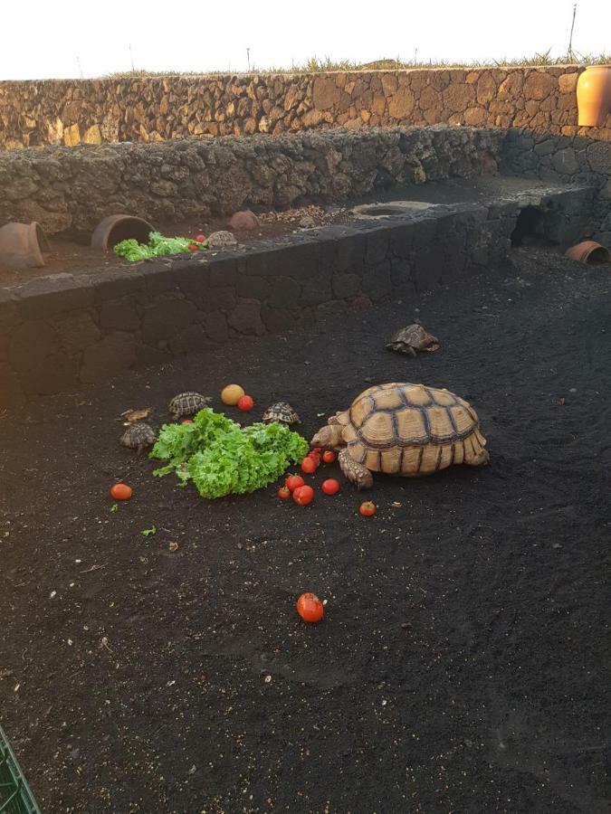 Villa Tejeguate 弗龙特拉 外观 照片